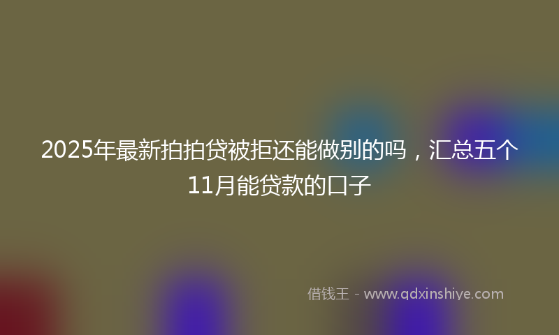 2025年最新拍拍贷被拒还能做别的吗，汇总五个11月能贷款的口子