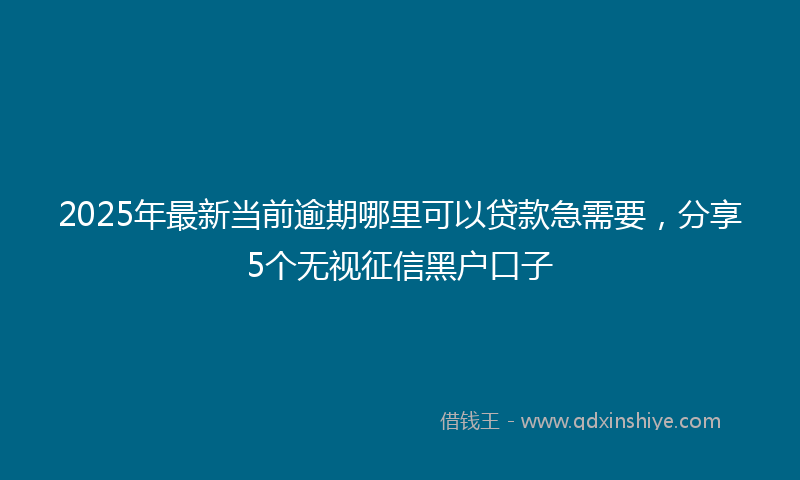2025年最新当前逾期哪里可以贷款急需要，分享5个无视征信黑户口子