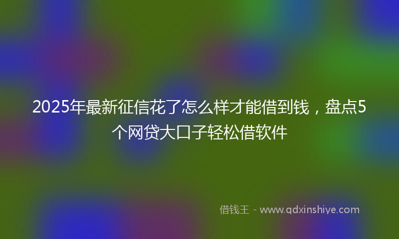 2025年最新征信花了怎么样才能借到钱，盘点5个网贷大口子轻松借软件