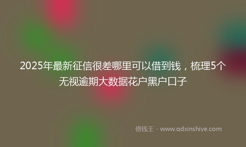 2025年最新征信很差哪里可以借到钱，梳理5个无视逾期大数据花户黑户口子