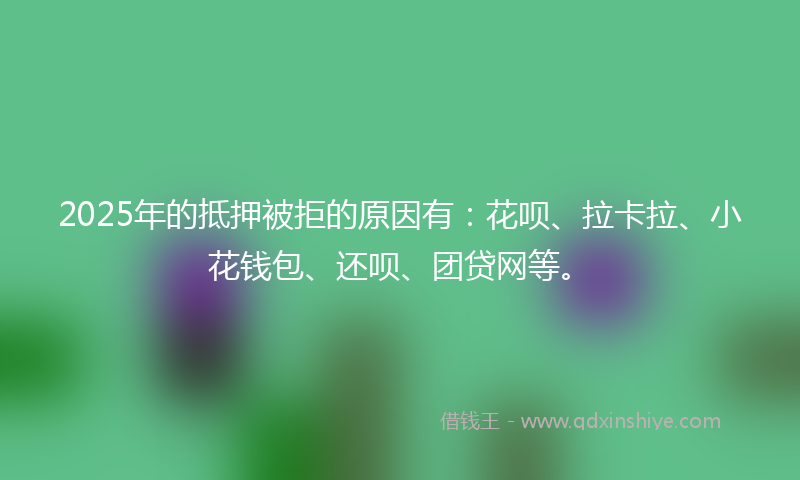 2025年的抵押被拒的原因有：花呗、拉卡拉、小花钱包、还呗、团贷网等。