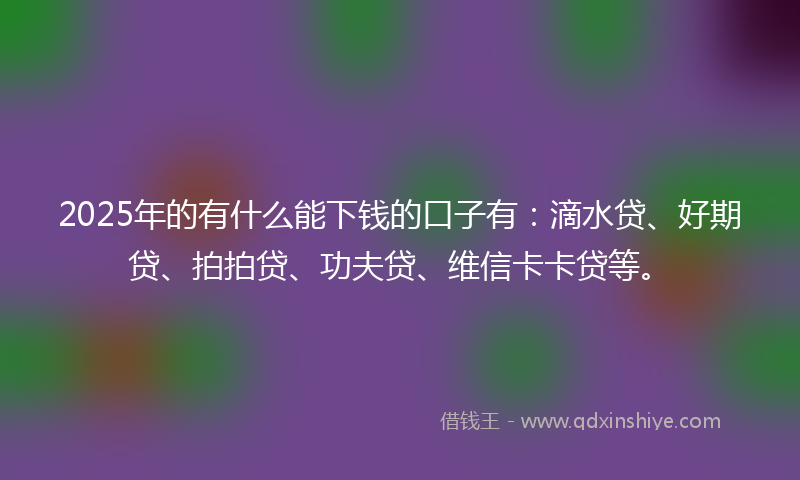 2025年的有什么能下钱的口子有：滴水贷、好期贷、拍拍贷、功夫贷、维信卡卡贷等。