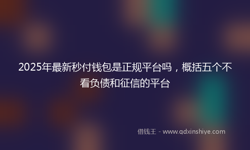2025年最新秒付钱包是正规平台吗，概括五个不看负债和征信的平台