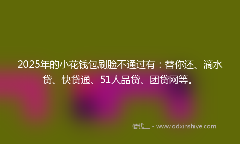 2025年的小花钱包刷脸不通过有：替你还、滴水贷、快贷通、51人品贷、团贷网等。