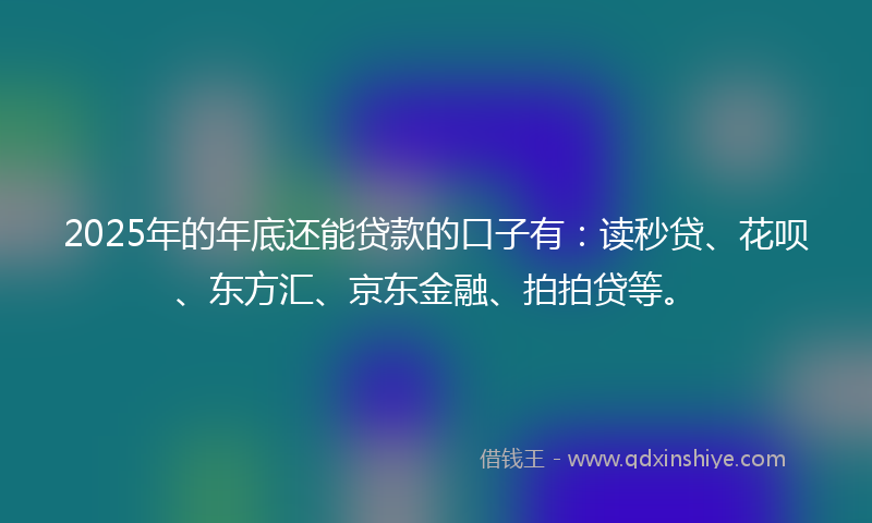 2025年的年底还能贷款的口子有：读秒贷、花呗、东方汇、京东金融、拍拍贷等。