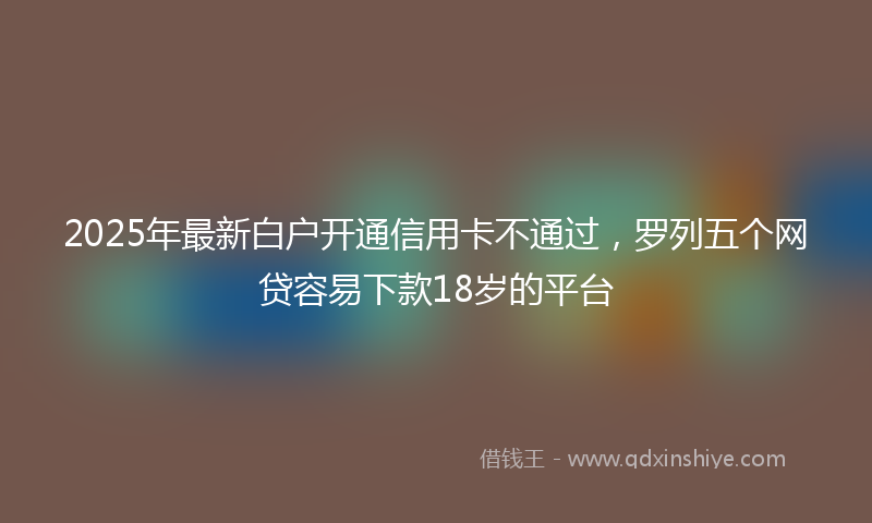 2025年最新白户开通信用卡不通过，罗列五个网贷容易下款18岁的平台
