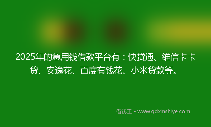 2025年的急用钱借款平台有：快贷通、维信卡卡贷、安逸花、百度有钱花、小米贷款等。