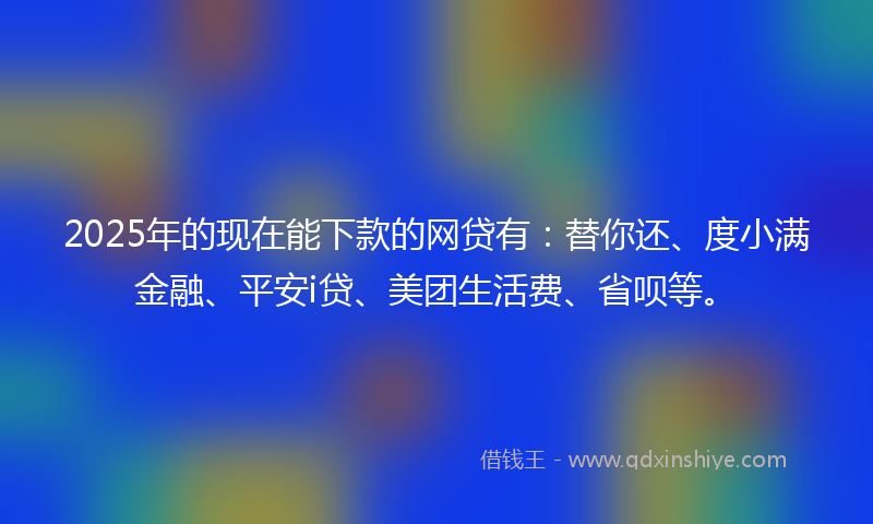2025年的现在能下款的网贷有：替你还、度小满金融、平安i贷、美团生活费、省呗等。