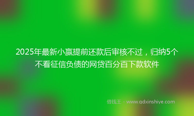 2025年最新小赢提前还款后审核不过，归纳5个不看征信负债的网贷百分百下款软件