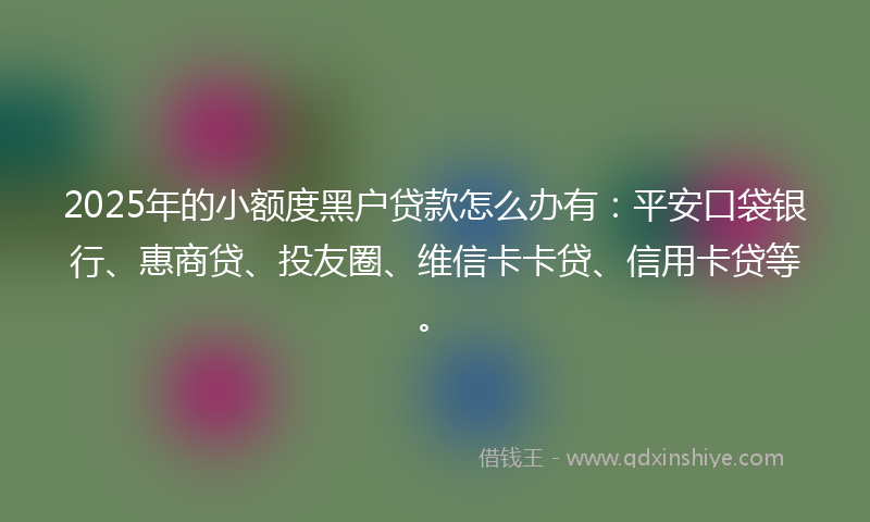 2025年的小额度黑户贷款怎么办有：平安口袋银行、惠商贷、投友圈、维信卡卡贷、信用卡贷等。