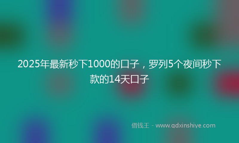 2025年最新秒下1000的口子，罗列5个夜间秒下款的14天口子