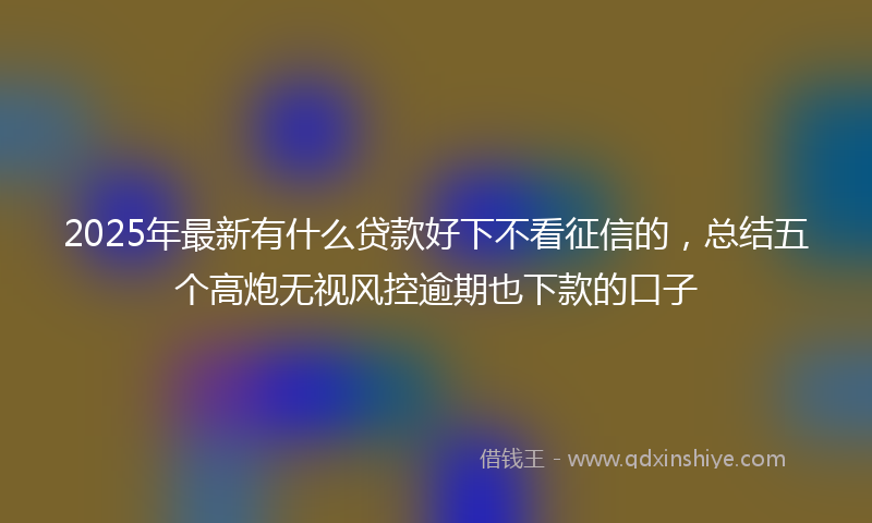 2025年最新有什么贷款好下不看征信的，总结五个高炮无视风控逾期也下款的口子