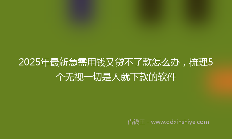 2025年最新急需用钱又贷不了款怎么办，梳理5个无视一切是人就下款的软件