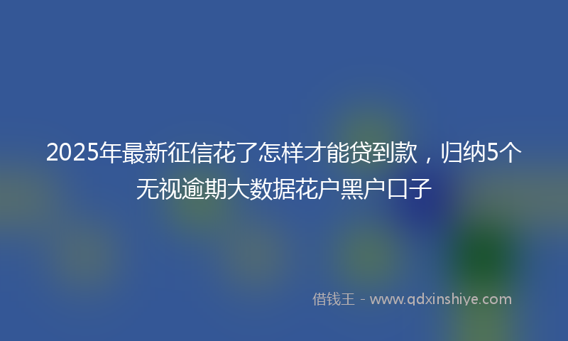 2025年最新征信花了怎样才能贷到款，归纳5个无视逾期大数据花户黑户口子