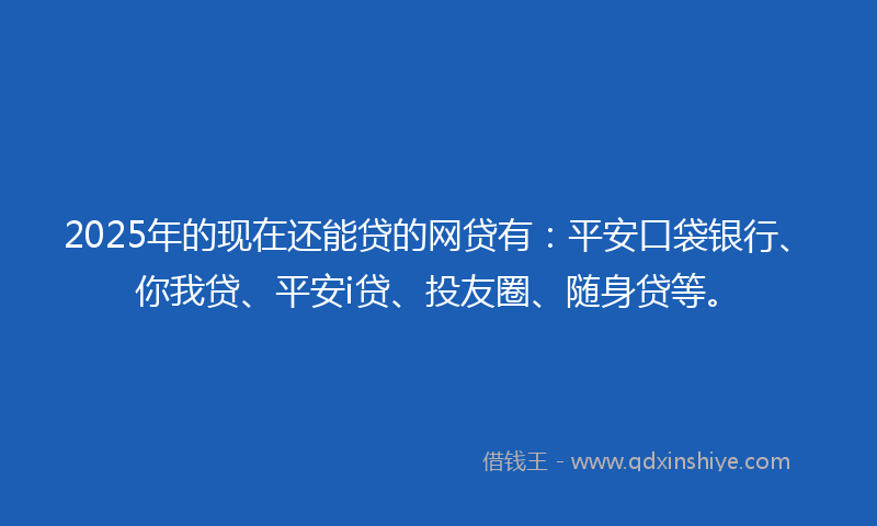 2025年的现在还能贷的网贷有：平安口袋银行、你我贷、平安i贷、投友圈、随身贷等。