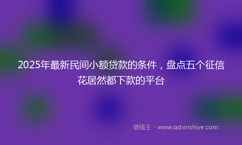 2025年最新民间小额贷款的条件，盘点五个征信花居然都下款的平台