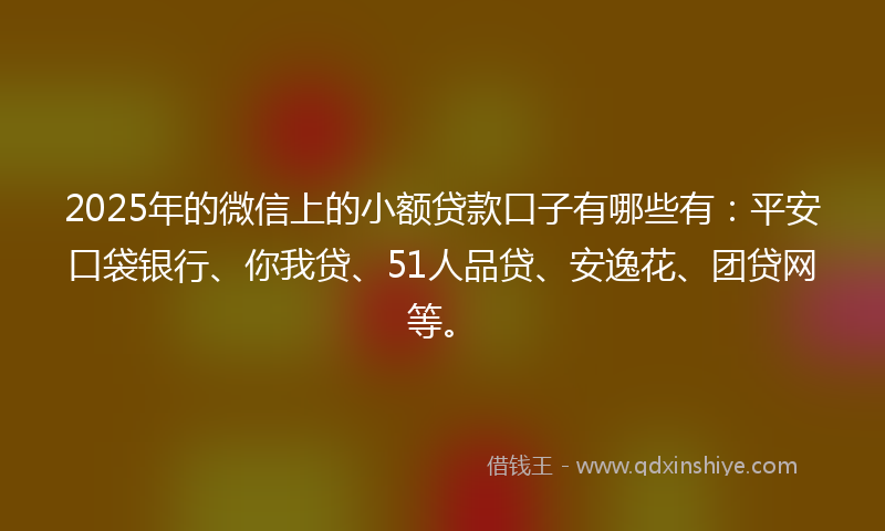 2025年的微信上的小额贷款口子有哪些有：平安口袋银行、你我贷、51人品贷、安逸花、团贷网等。