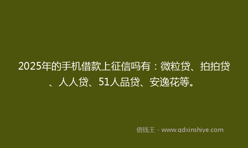 2025年的手机借款上征信吗有：微粒贷、拍拍贷、人人贷、51人品贷、安逸花等。