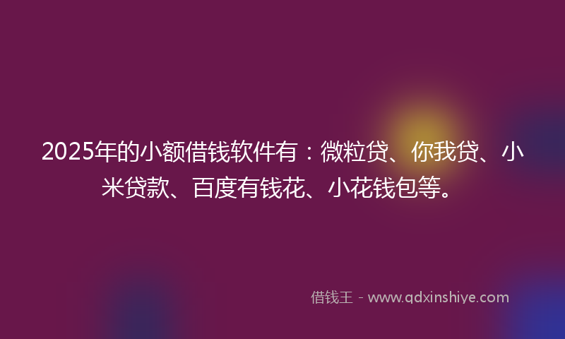 2025年的小额借钱软件有：微粒贷、你我贷、小米贷款、百度有钱花、小花钱包等。