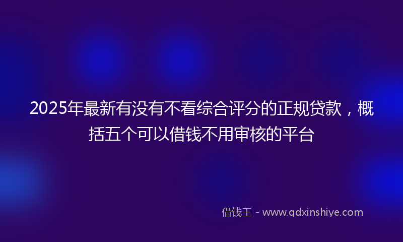 2025年最新有没有不看综合评分的正规贷款，概括五个可以借钱不用审核的平台