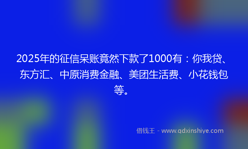 2025年的征信呆账竟然下款了1000有：你我贷、东方汇、中原消费金融、美团生活费、小花钱包等。