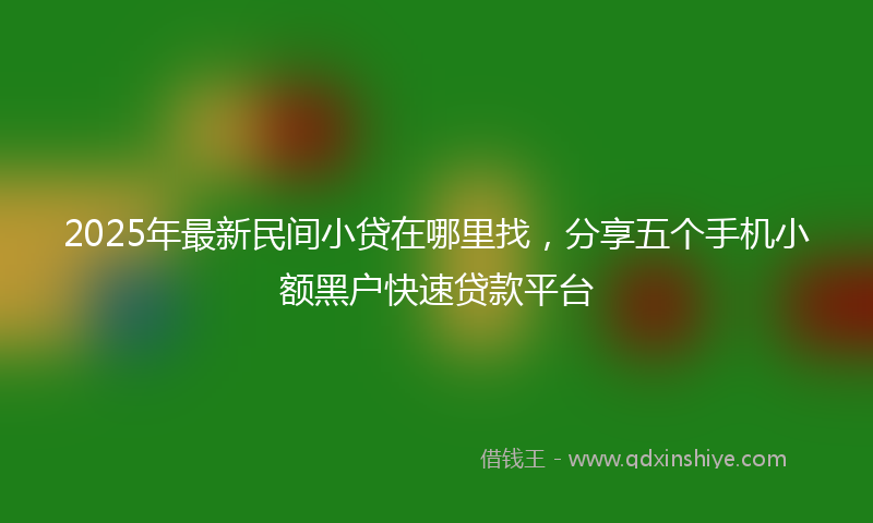 2025年最新民间小贷在哪里找，分享五个手机小额黑户快速贷款平台