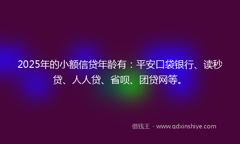 2025年的小额信贷年龄有：平安口袋银行、读秒贷、人人贷、省呗、团贷网等。