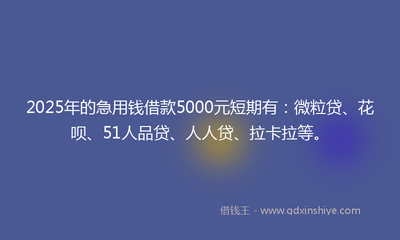 2025年的急用钱借款5000元短期有：微粒贷、花呗、51人品贷、人人贷、拉卡拉等。