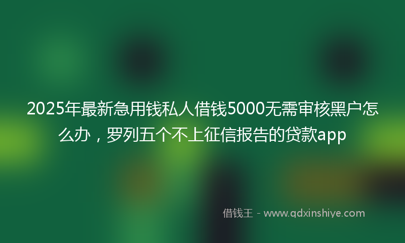 2025年最新急用钱私人借钱5000无需审核黑户怎么办，罗列五个不上征信报告的贷款app