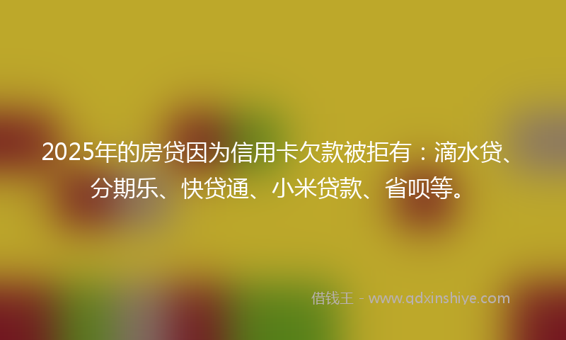 2025年的房贷因为信用卡欠款被拒有：滴水贷、分期乐、快贷通、小米贷款、省呗等。