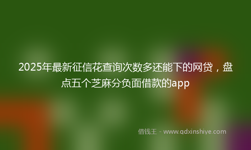 2025年最新征信花查询次数多还能下的网贷，盘点五个芝麻分负面借款的app