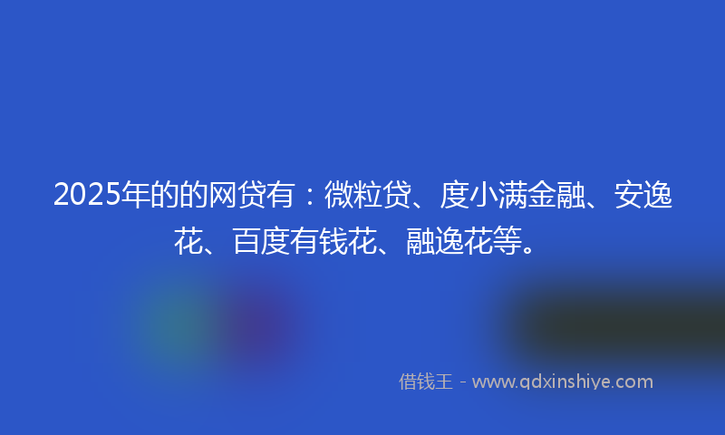 2025年的的网贷有：微粒贷、度小满金融、安逸花、百度有钱花、融逸花等。