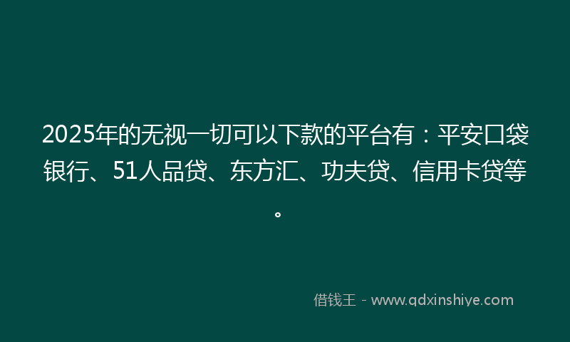 2025年的无视一切可以下款的平台有：平安口袋银行、51人品贷、东方汇、功夫贷、信用卡贷等。