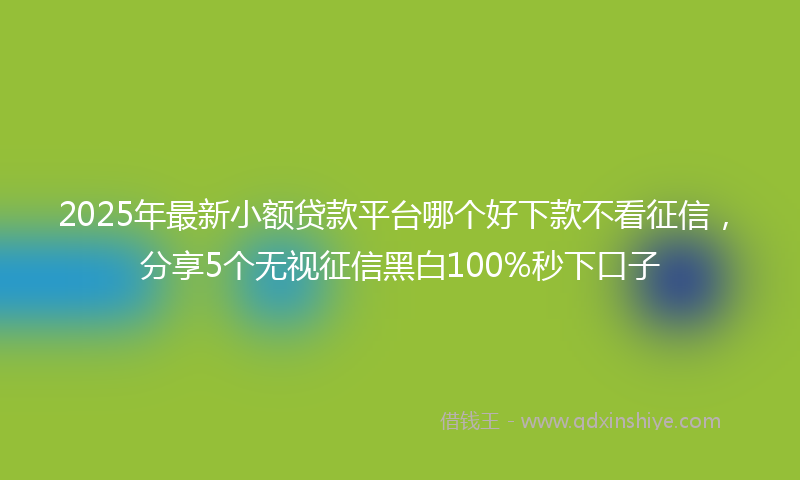 2025年最新小额贷款平台哪个好下款不看征信，分享5个无视征信黑白100%秒下口子