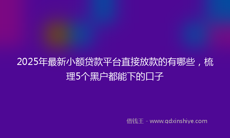 2025年最新小额贷款平台直接放款的有哪些，梳理5个黑户都能下的口子