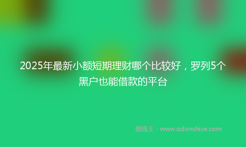 2025年最新小额短期理财哪个比较好，罗列5个黑户也能借款的平台