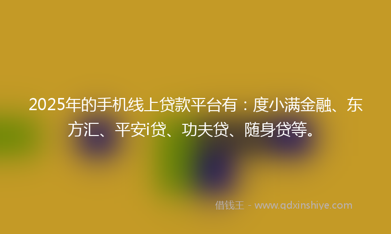 2025年的手机线上贷款平台有：度小满金融、东方汇、平安i贷、功夫贷、随身贷等。