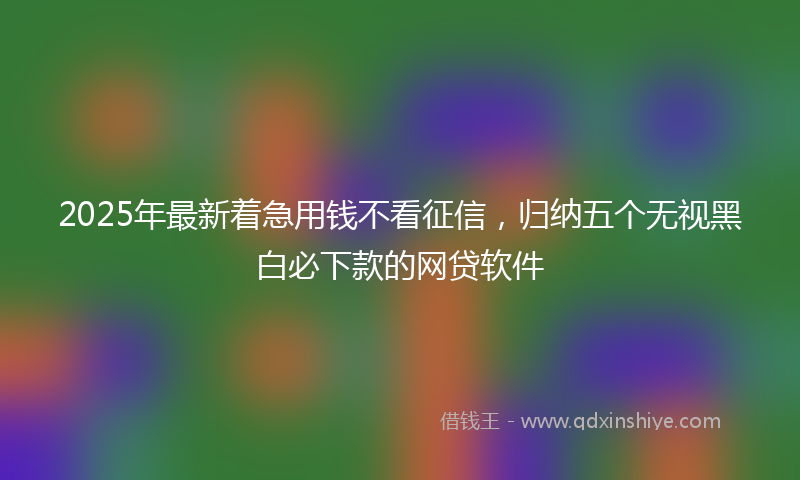 2025年最新着急用钱不看征信，归纳五个无视黑白必下款的网贷软件