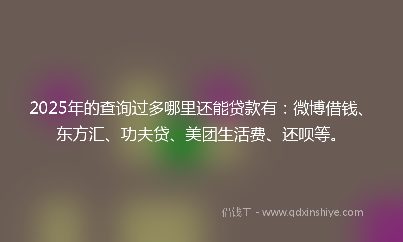 2025年的查询过多哪里还能贷款有：微博借钱、东方汇、功夫贷、美团生活费、还呗等。