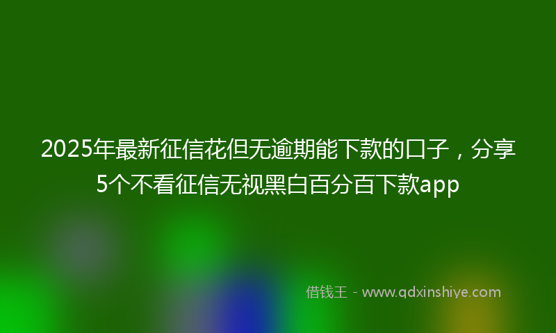 2025年最新征信花但无逾期能下款的口子，分享5个不看征信无视黑白百分百下款app
