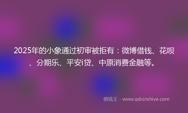 2025年的小象通过初审被拒有：微博借钱、花呗、分期乐、平安i贷、中原消费金融等。