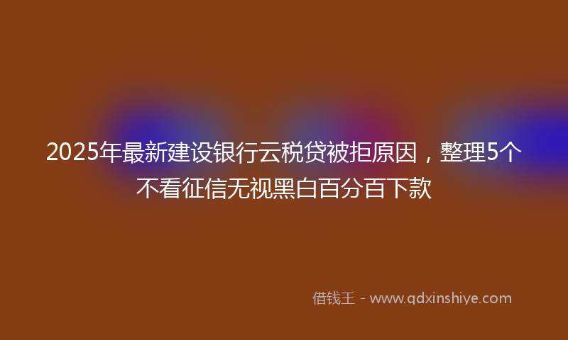 2025年最新建设银行云税贷被拒原因，整理5个不看征信无视黑白百分百下款