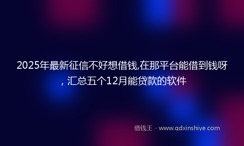 2025年最新征信不好想借钱,在那平台能借到钱呀，汇总五个12月能贷款的软件