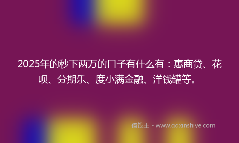 2025年的秒下两万的口子有什么有：惠商贷、花呗、分期乐、度小满金融、洋钱罐等。
