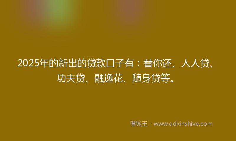2025年的新出的贷款口子有：替你还、人人贷、功夫贷、融逸花、随身贷等。