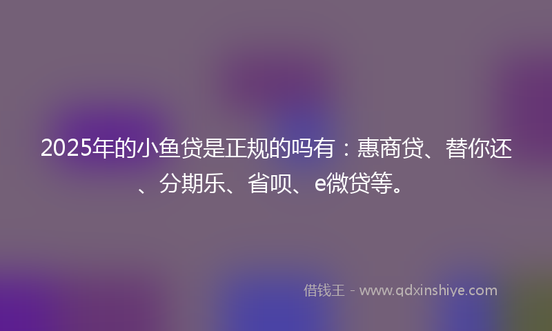 2025年的小鱼贷是正规的吗有：惠商贷、替你还、分期乐、省呗、e微贷等。