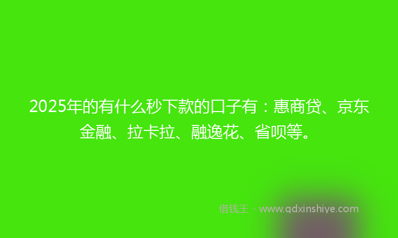 2025年的有什么秒下款的口子有：惠商贷、京东金融、拉卡拉、融逸花、省呗等。