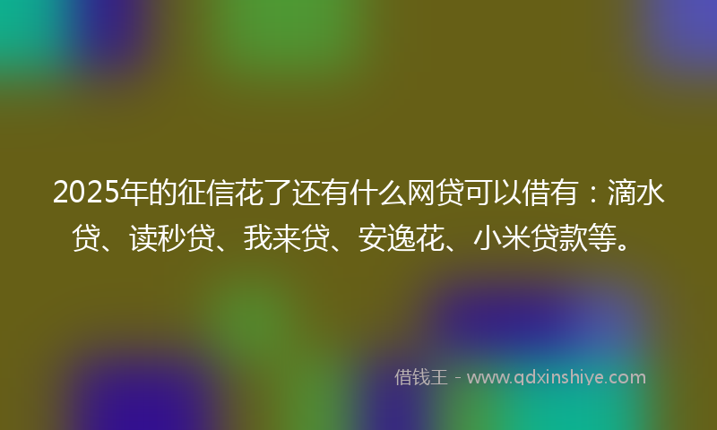 2025年的征信花了还有什么网贷可以借有：滴水贷、读秒贷、我来贷、安逸花、小米贷款等。