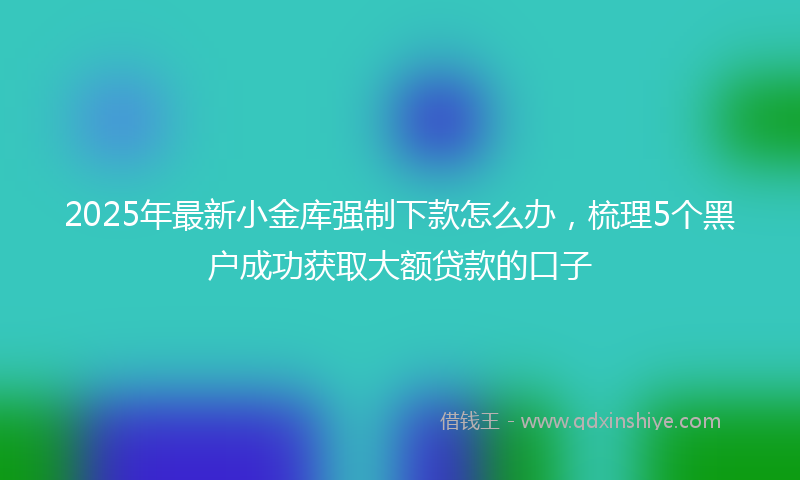 2025年最新小金库强制下款怎么办，梳理5个黑户成功获取大额贷款的口子