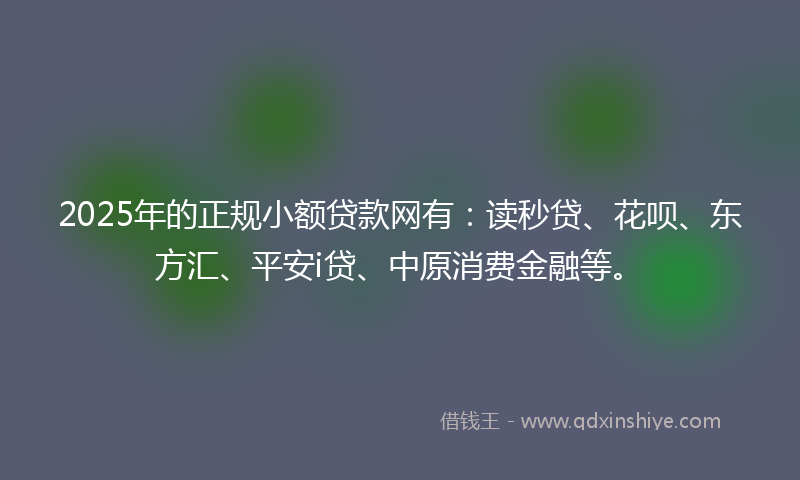 2025年的正规小额贷款网有：读秒贷、花呗、东方汇、平安i贷、中原消费金融等。